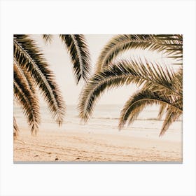 Palm Leaf Beach Canvas Print