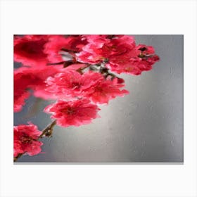 Pink Flower Branch Canvas Print