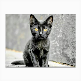 Black Cat With Yellow Eyes Canvas Print