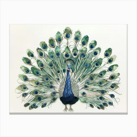 Peacock 21 Canvas Print
