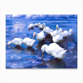 Ducks in lake like a fairy Canvas Print