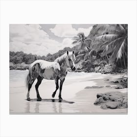A Horse Oil Painting In Anse Lazio, Seychelles, Landscape 1 Canvas Print