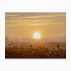 Sunrise and the Cows Canvas Print