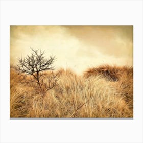 Sand Dunes Observations Canvas Print