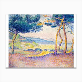 Pines Along The Shore Painting Canvas Print