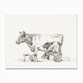 Standing Cow, With Milk Bucket And Milk Stool, Jean Bernard Canvas Print