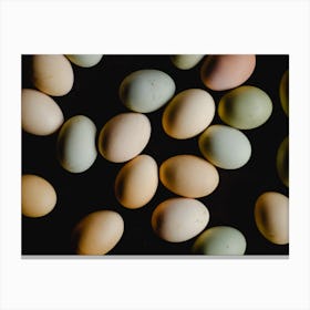 Eggs On A Black Background Canvas Print