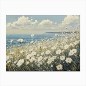 Daisy Field Canvas Print