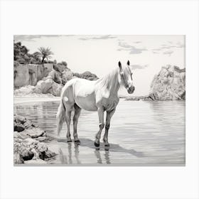 A Horse Oil Painting In Cala Macarella, Spain, Landscape 3 Canvas Print
