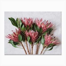 Red King Protea Bouquet Canvas Print