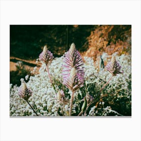 Wildflowers Canvas Print