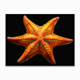 Orange Starfish On Black Background Canvas Print