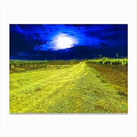 Full Moon Over Vineyard 20230506194181pub Canvas Print