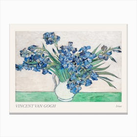 Irises, Vincent Van Gogh Art Poster Canvas Print