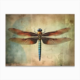 Dragonfly In Meadow Flowers Vintage 3 Canvas Print