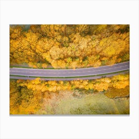 Aerial View Of A Road In Autumn Canvas Print