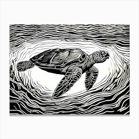 Turtle In The Water Canvas Print