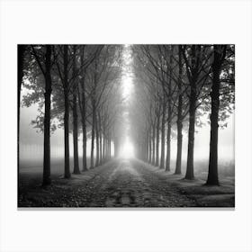 Misty Road Canvas Print