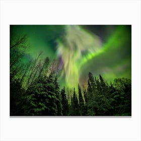 Aurora Borealis In Sky Over Forest Canvas Print