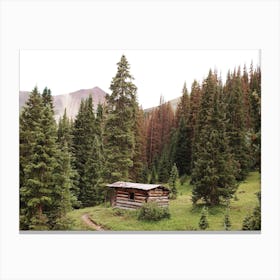 Little Cabin In The Woods Canvas Print