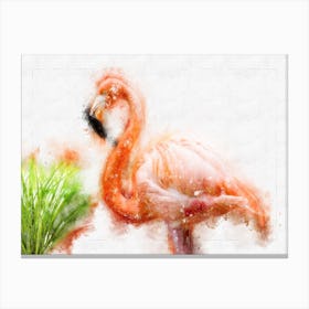 Flamingo Canvas Print