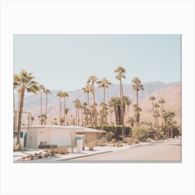 Street In Palm Springs Canvas Print