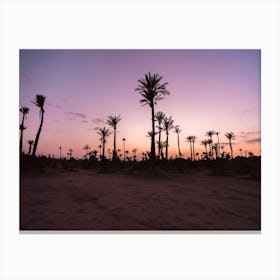 Sunset Desert Palms, Morocco Canvas Print