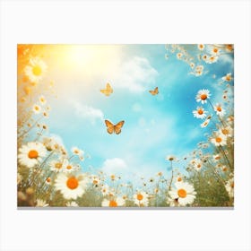 Daisy Field With Butterflies Canvas Print
