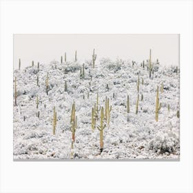 Snowy Cactus Hill Canvas Print