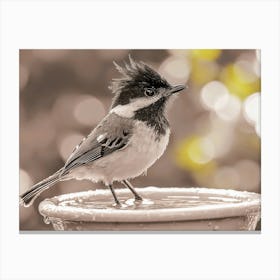 Bird On A Birdbath Canvas Print