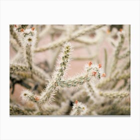 Skinny Cactus With Flowers Canvas Print