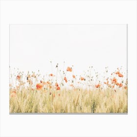 Red Poppy Flower Field Canvas Print