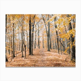 Yellow Leaf Forest Views Canvas Print