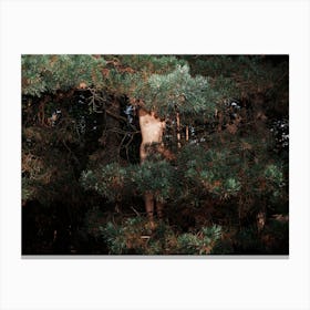 The Eyes Of The Forest Canvas Print