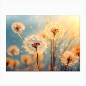 Dandelion 25 Canvas Print