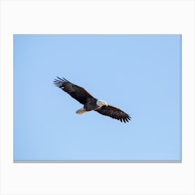 Wings Of An Eagle Canvas Print