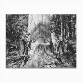 Long Bell Lumber Company, Cowlitz County, Washington, Undercutting A Fir Tree By Russell Lee Canvas Print
