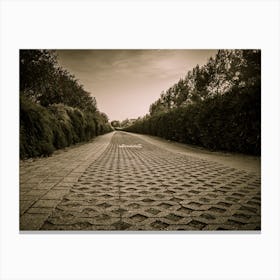 Paved Road Sepia Colored Walkway In The Park Canvas Print