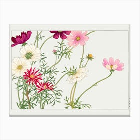 Cosmos Canvas Print