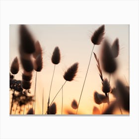 Sunset Skies And Dancing Grasses Canvas Print