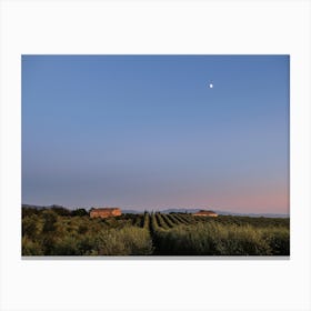 Sunset Skies In Tuscan Vineyards Canvas Print