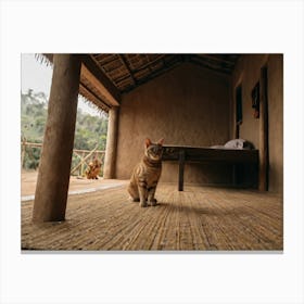 Cat In A Hut 1 Canvas Print