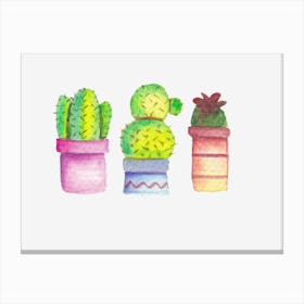 Cacti Canvas Print