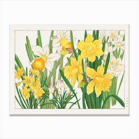 Daffodil Woodblock Painting, Tanigami Kônan Canvas Print