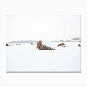 Snowed In Hay Field Canvas Print