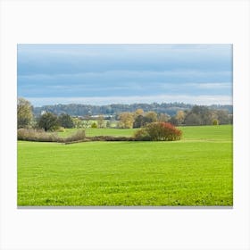 Field With Trees 2 Canvas Print