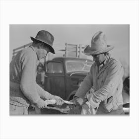 Mexican Labor Contractor And Worker Cutting Straw Ties Into Proper Length, Near Santa Maria, Texas By Russell Lee Canvas Print