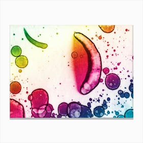 Rainbow And Moon Canvas Print