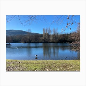 Ducks In A Lake Canvas Print