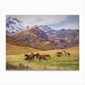 Horses In The Mountains Canvas Print